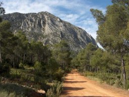 Mula Antigua serie-2